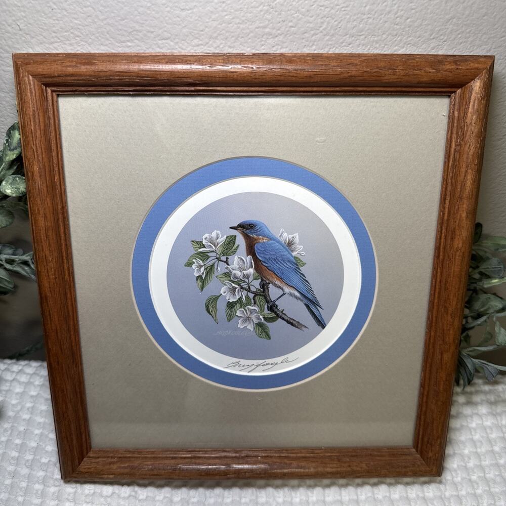 Don Breyfogle Eastern Bluebird Framed Wildlife Print 1988 9.6” x 9.4” Vintage